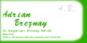 adrian breznay business card